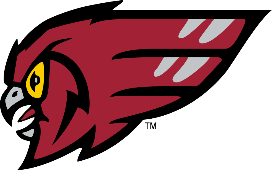 Temple Owls 1996-2011 Secondary Logo diy DTF decal sticker